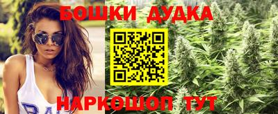 мдма Кингисепп