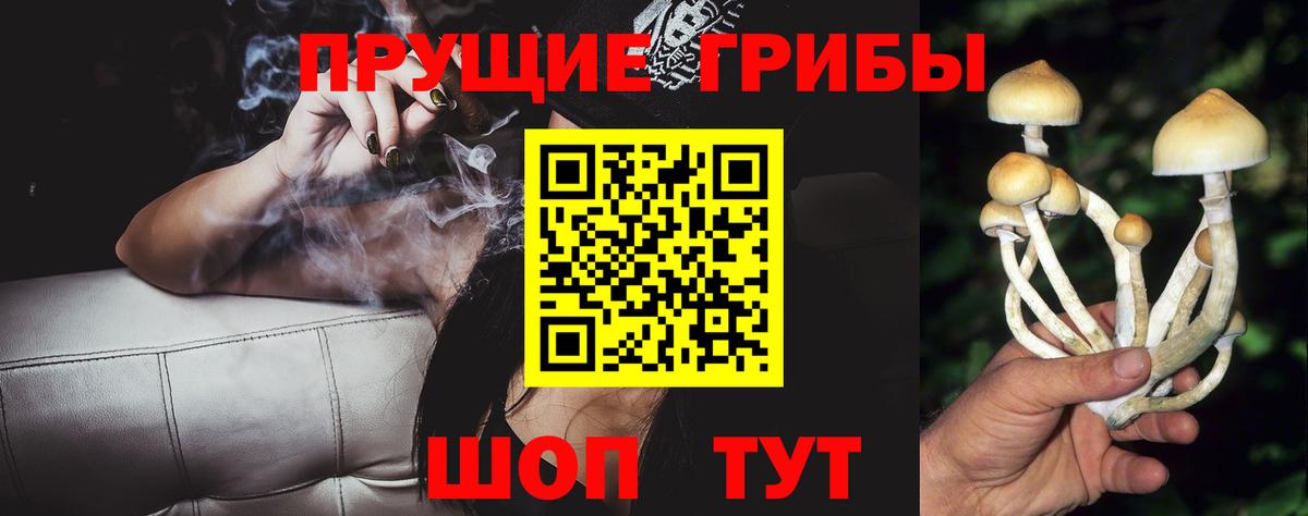 Куйбышев  цены   Вход с VPN  Галлюциногенные грибы ЛСД 